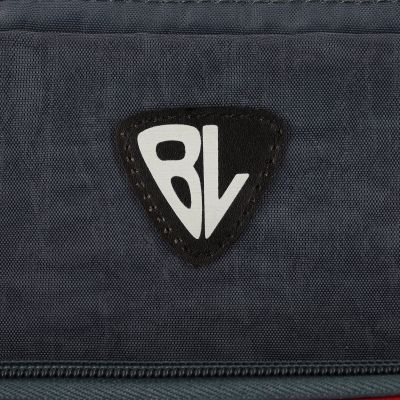Рюкзак шкільний Bagland BL Школяр 8 л. 321 сірий 680 (00012870) (1123820968) | Зображення 3