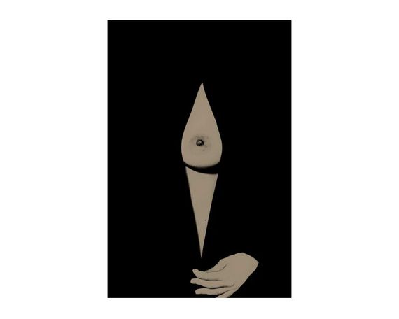 Книга Sara Punt - Bare (Signed, numbered + print) | Зображення 3