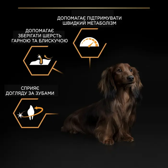 Сухий корм Purina PRO PLAN Small&MiniAdult Everyday Nutrition для дорослих собак дрібних порід, курка 700г | Зображення 5