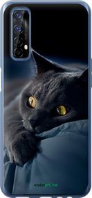 Чохол на Realme 7 Димчастий кіт "825u-2081-2448"