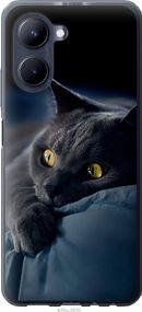 Чехол на Realme C33 Дымчатый кот "825u-2870-17620"