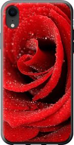 Чехол на iPhone XR Красная роза "529u-1560-17620"