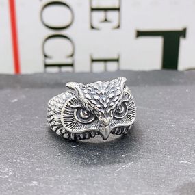 Модное кольцо в виде Совы с серебристыми глазами, кольцо мудрости, размер регулируемый