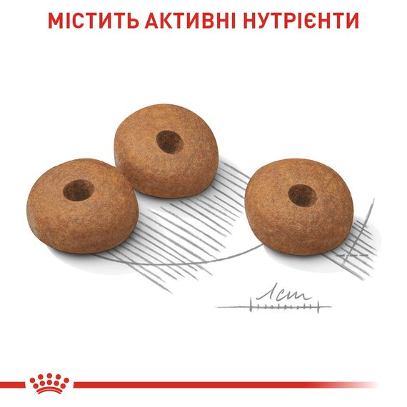 Сухой корм для собак малых пород с лишних весом Royal Canin Mini Light Weight Care, 3 кг | Зображення 2