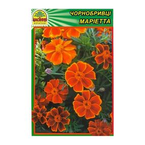 Насіння чорнобривці Маріетта 0,5 г