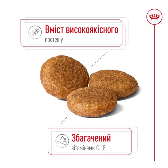 Корм Royal Canin Medium Adult сухий для дорослих собак середніх порід 4 кг | Зображення 2