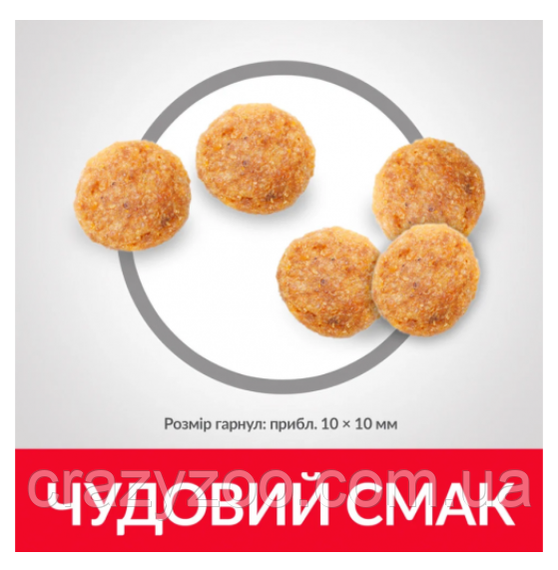 Сухий корм для котів Hill's Sensitive Stomach & Skin Chicken з куркою 300 г 604074 | Зображення 2