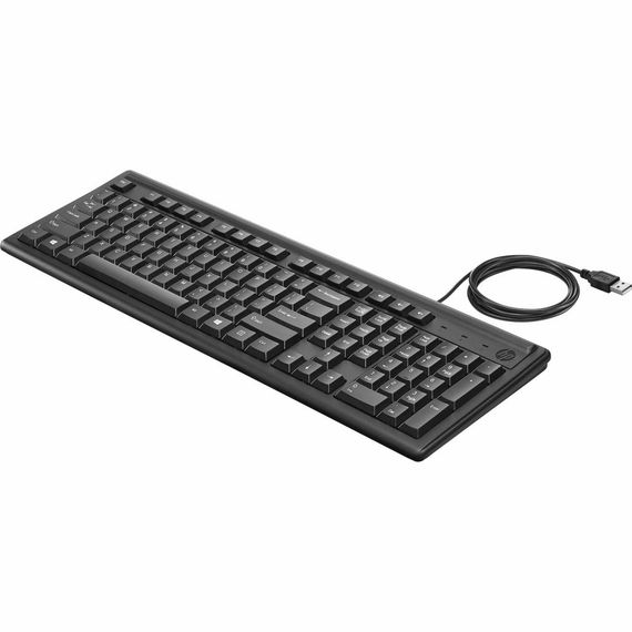 Клавіатура HP 100 USB Black (2UN30AA) | Зображення 1