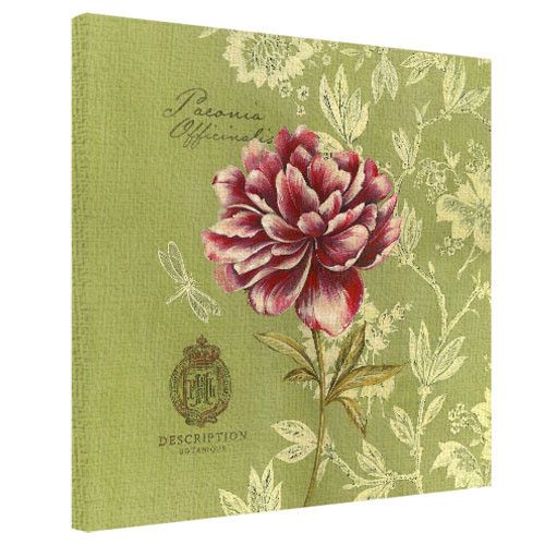 Картина на холсте Paeonia officinalis 50x50 см (H5050_RET013)