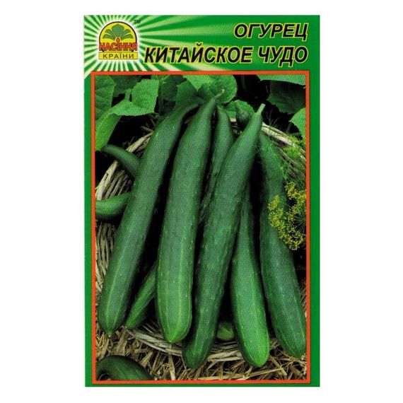Насіння огірка Китайське диво 10 шт. (Насіння країни)