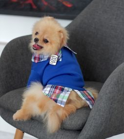 Толстовка з сорочкою синя Y-297