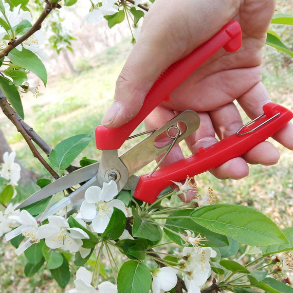 Ножиці садові для обрізання зелених насаджень зі зручними червоними ручками, довжина леза 76 мм | Зображення 8