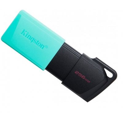 Kingston Накопичувач 256GB USB 3.2 Gen1 DT Exodia Black Teal (DTXM/256GB)