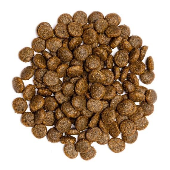 Корм сухий Profine Cat Original Adult для дорослих котів усіх порід з куркою та рисом 300 г | Зображення 1