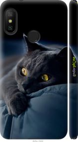 Чохол на Xiaomi Redmi 6 Pro Димчастий кіт "825m-1595-2448"