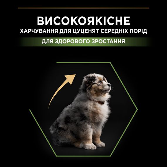 Сухой корм для щенков средних пород с курицей Purina Pro Plan Puppy Medium Healthy Start 3 кг | Зображення 2