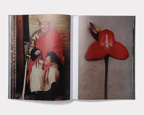 Книга по fashion фотографии Sheila Metzner: From Life Книги о моде с фотографиями известных фотографов | Зображення 4