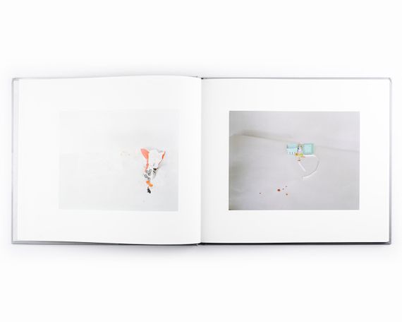 Альбомы известных фотографов книга с работами Лауры Летински Laura Letinsky "After All" книги по фотографии | Зображення 7