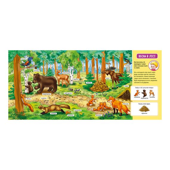 Мой первый словарик "В лесу" Ранок 116032 с окошками | Зображення 3