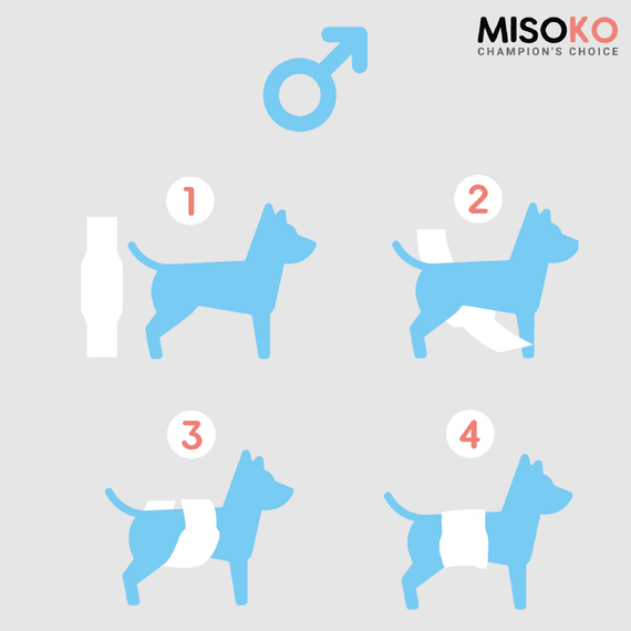 Многоразовый подгузник для кобелей Misoko&Co, рисунок киты, размер L | Зображення 2