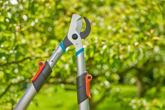 Гілкоріз (сучкоріз) обвідний Gardena TeleCut basic (42 мм) | Зображення 2