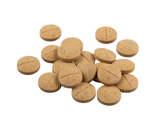 Вітаміни для здоров'я дорослих собак 8in1 Excel Multi-Vitamin Adult Dog, 70 табл | Зображення 2