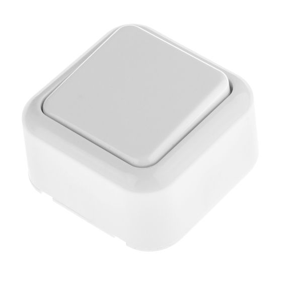 Выключатель одноклавишный RB-1V