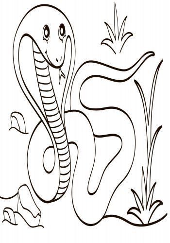 Дитяча водна розмальовка: Екзотичні тварини 734012, 8 сторінок | Зображення 3