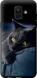 Чохол на Samsung Galaxy A6 2018 Димчастий кіт "825b-1480-2448"