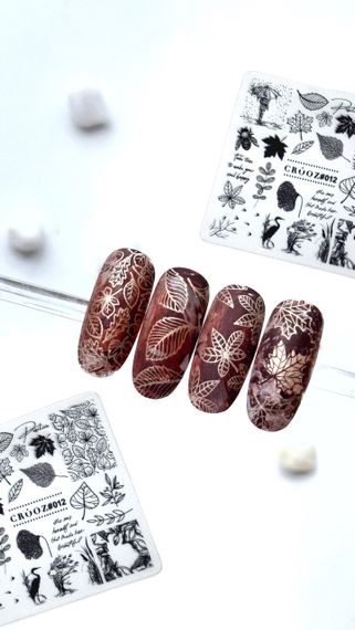 Пластина для стемпінгу Crooz 12 (6 х 6см)