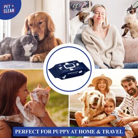 Серветки вологі Pet Clean PET GROOMING POUCH зволожуючі для грумінгу домашніх тварин   з легким ароматом квітучої японської