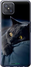 Чохол на Oppo A92S Димчастий кіт "825u-1926-2448"