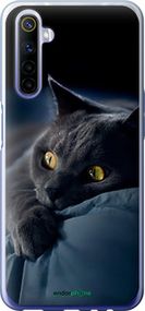 Чохол на Realme 6 Димчастий кіт "825t-1913-2448"