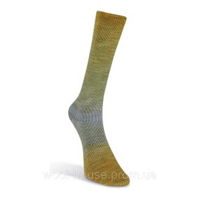 Шкарпеткова пряжа Laines du Nord Watercolor Sock, 203
