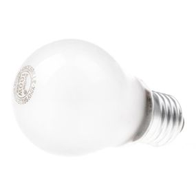 Лампа розжарювання 100W E27 WW A55 FR 220V