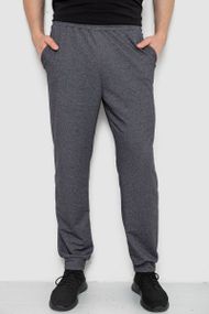 Спортивні штани чоловічі, колір темно-сірий, 238R122-1