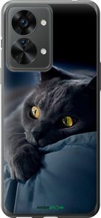 Чохол на OnePlus Nord 2T Димчастий кіт "825u-2640-2448"