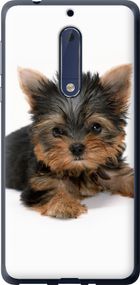 Чехол на Nokia 5 Щенок йоркширского терьера "931u-804-17620"