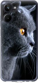 Чехол на Realme 10 Красивый кот "3038u-2946-17620"