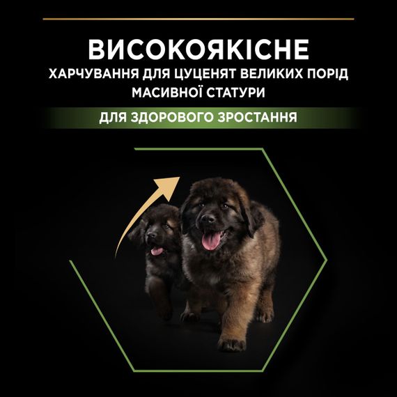 Сухой корм для щенков крупных пород с курицей Purina Pro Plan Puppy Large Robust Healthy Start 12 кг | Зображення 2