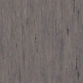 Лінолеум Tarkett Standard Plus Brown Grey 0496 (2m)