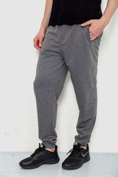 Спорт чоловічі штани 244R41153, колір сірий, 244R4770 | Зображення 2