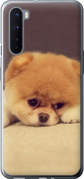 Чехол на OnePlus Nord Boo 2 "890u-2046-17620"