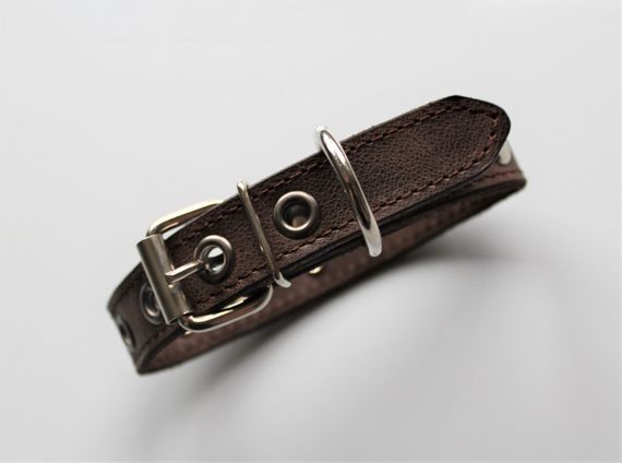Кожаный ошейник со стразами "Lockdog" коричневый | Зображення 1
