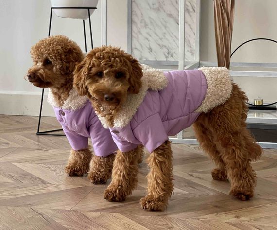 Куртка з хутром лаванда K-66 | Зображення 1