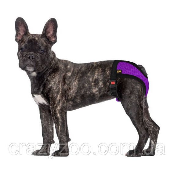 Трусы гигиенические для собак Bronzedog Mesh, размер XS (мелкие породы) фиолетовый 671107/Т | Зображення 5