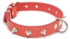 Ошейник для собак Zoo-hunt кожаный с шипами двойной ОДШ красный ОДШ 3,5/44-55 см