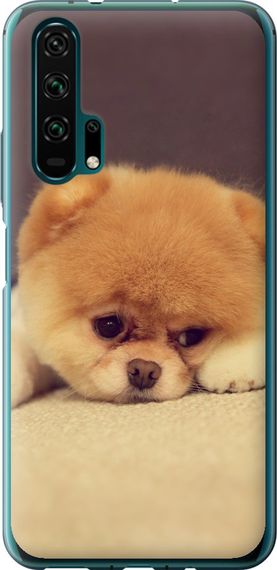 Чехол на Huawei Honor 20 Pro Boo 2 "890u-1702-17620"