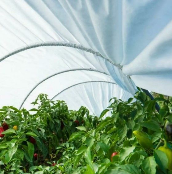 Парник Агро-Лідер 42 г/м2 для рослин 4 м ППС00006 | Зображення 2
