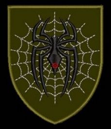 Шеврон Павук